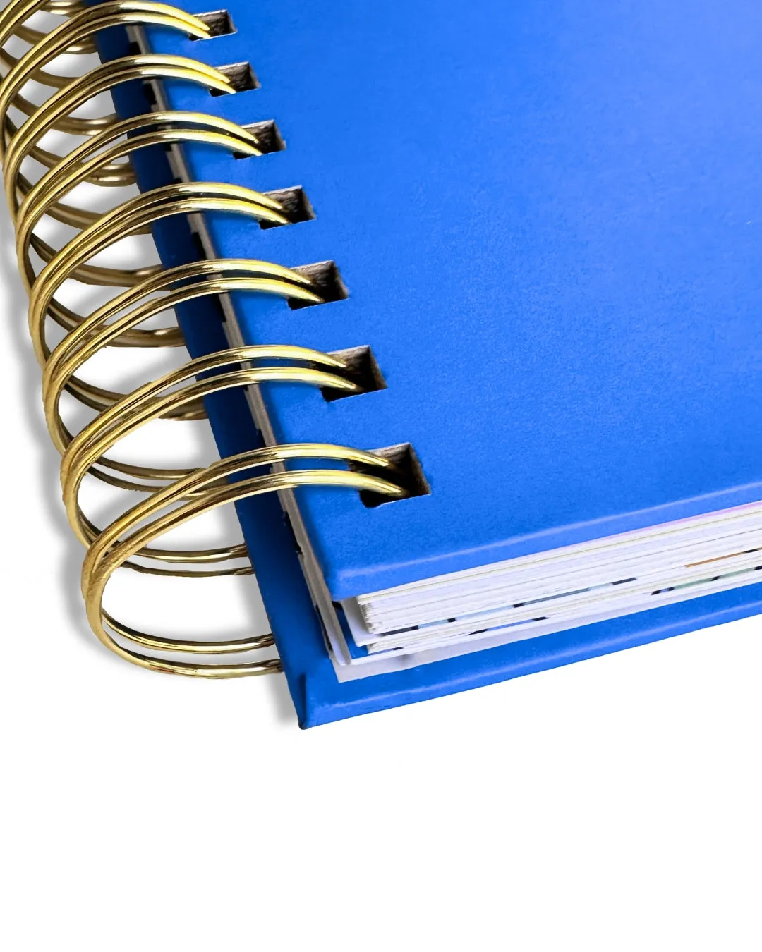 Bestie Bundle - 2 BD 2025 Blue Planners