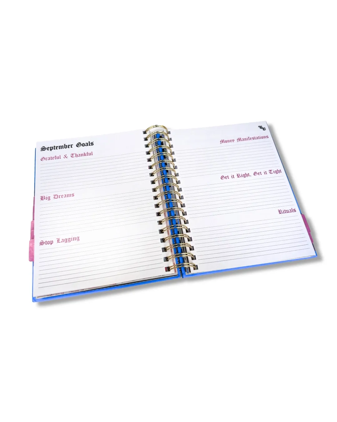 Bestie Bundle - 2 BD 2025 Blue Planners