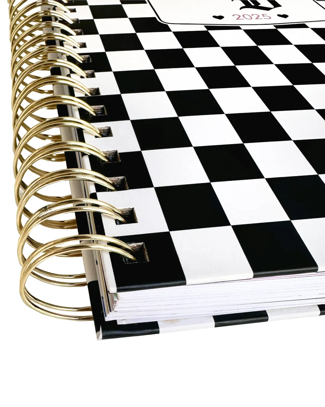 Bestie Bundle - 2 BD 2025 Checkered Planners