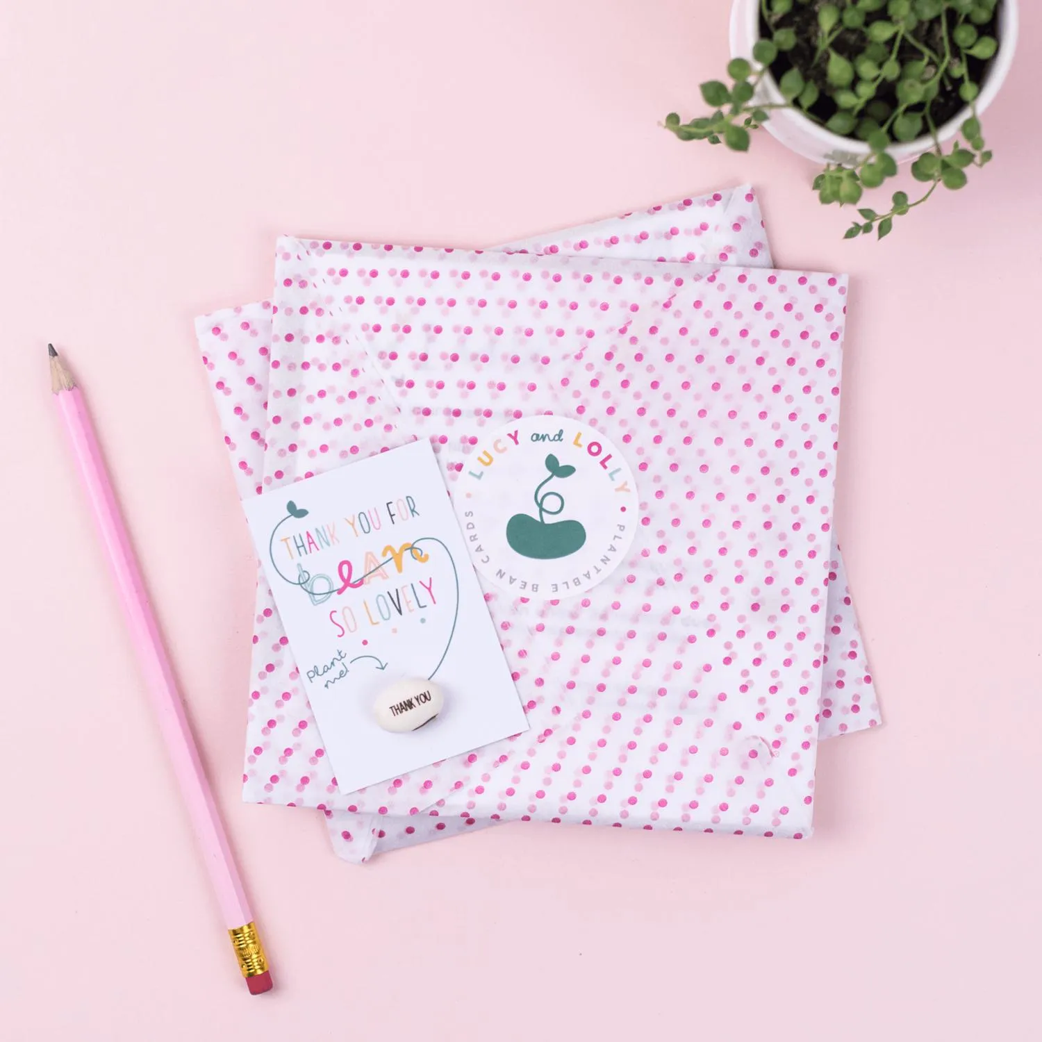 Lucy & Lolly, Brand New Human Bean Card